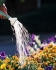 Landscaping Insurance, St. Joseph, Missouri